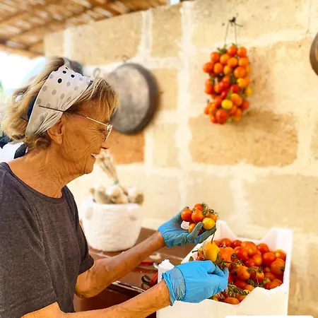 Li Canali Reali B&B 미사니아