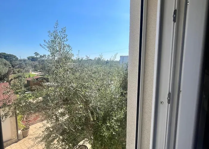 Li Canali Reali 梅萨涅